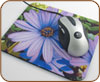 Photo Reprint Mousepad